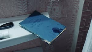 Perdrix — foto 3