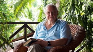 Attenborough: 60 Years in the Wild — foto 4