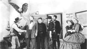 The Texans — foto 3