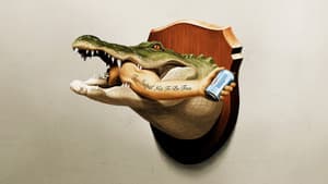 Sólo En Florida — foto 4