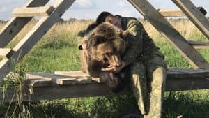 Страна медведей — foto 1