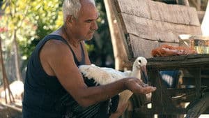 Приказната за Силјан — foto 2