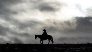 Bring on the Dancing Horses — foto 1