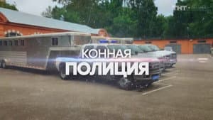 Episodio 10