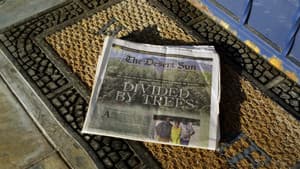 Racist Trees — foto 6