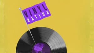 Vinyl Nation — foto 3
