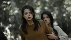 4 ป่าช้า — foto 2