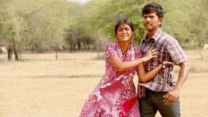 முந்திரிக்காடு — foto 6
