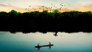 Amazônia Eterna — foto 1