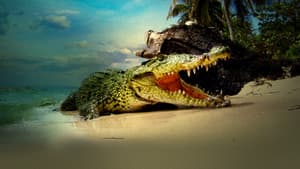 Life and Death in Paradise: Crocs of the Caribbean — foto 1