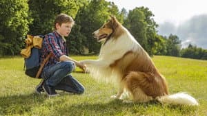 Lassie Vuelve a Casa — foto 1