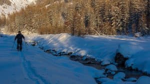 Vivre avec les loups — foto 5