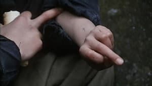 Marian — foto 2