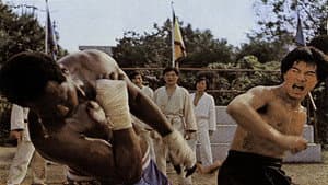 Bruce Lee El superhéroe — foto 2