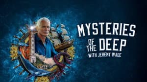 Mysteries of the Deep — foto 7