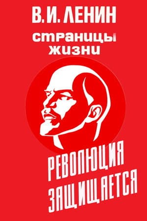 Temporada 8