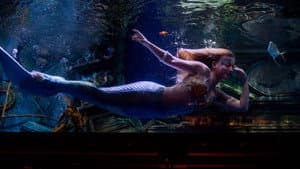 Mermaids — foto 4