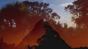 Archipelago of Earthen Bones — To Bunya — foto 6