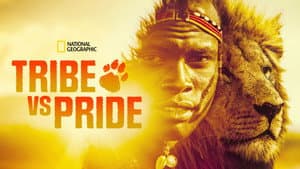 Tribe vs Pride — foto 7