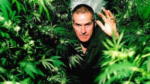 Cannabis: The Evil Weed? — foto 1