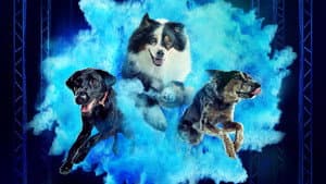 America's Top Dog — foto 1
