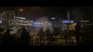 Anadolu Leoparı — foto 7