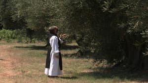 Episodio 15