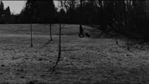 ALETHEIA — foto 2