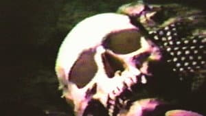 Cannibal Orgy — foto 1