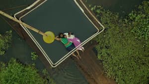 ദാവീദ് — foto 9