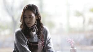 계절과 계절 사이 — foto 2