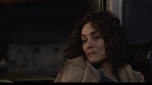 İşe Yarar Bir Şey — foto 4
