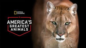 America's Greatest Animals — foto 3