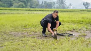 David Blaine Do Not Attempt — foto 4