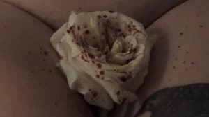 Amityville Vibrator — foto 2
