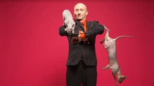Fous des animaux — foto 3