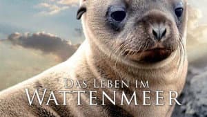 Give and Take — foto 1