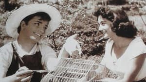 Berduş — foto 1