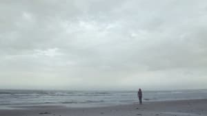 Night Surf — foto 4