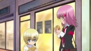 Episodio 41