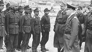 Division Brandenburg — foto 1