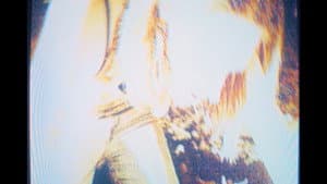 The Dirt Knows. — foto 4