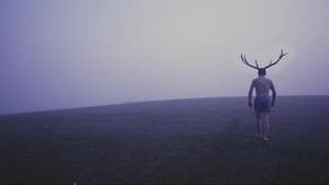 Deer Boy — foto 4