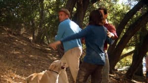 The Gold Retrievers — foto 1