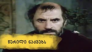წერილი ნაძვებს — foto 1