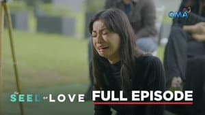 Episodio 53