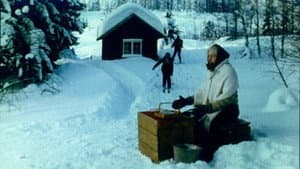 Mormor og de åtte ungene i skogen — foto 1