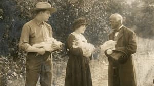 Little Miss Hoover — foto 1