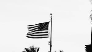 The Longest Summer in America — foto 6