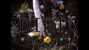 Dirt — foto 1